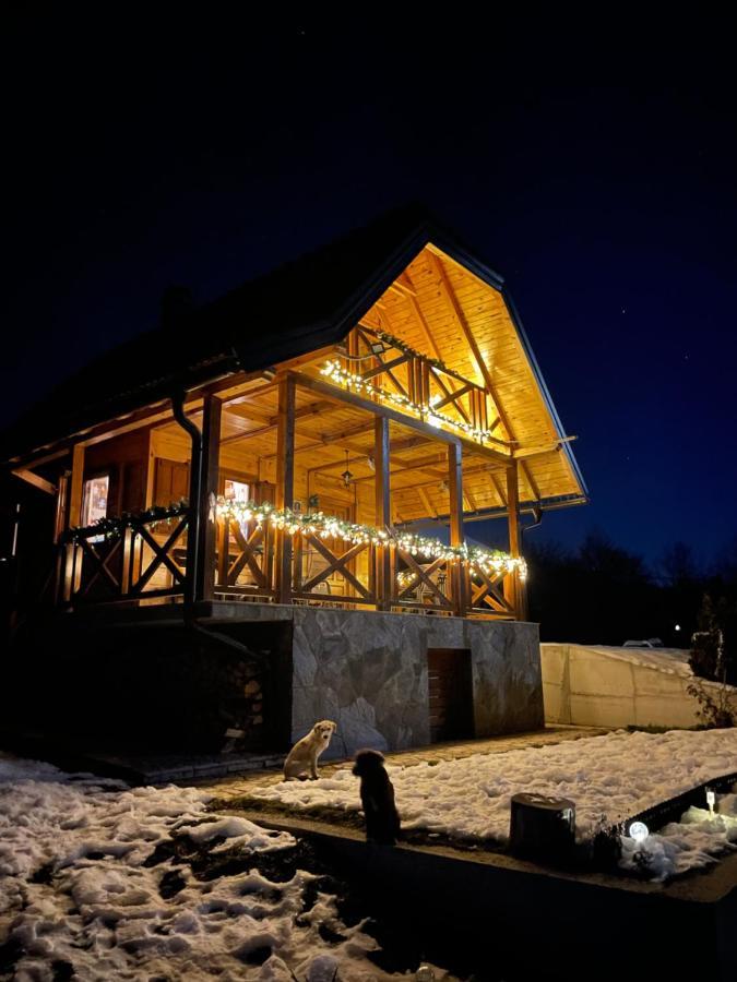 Villa RESET Zlatibor Esterno foto